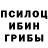 Галлюциногенные грибы Cubensis Galya Voronova