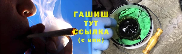 прущие грибы Алзамай