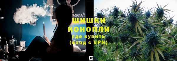 стафф Аркадак