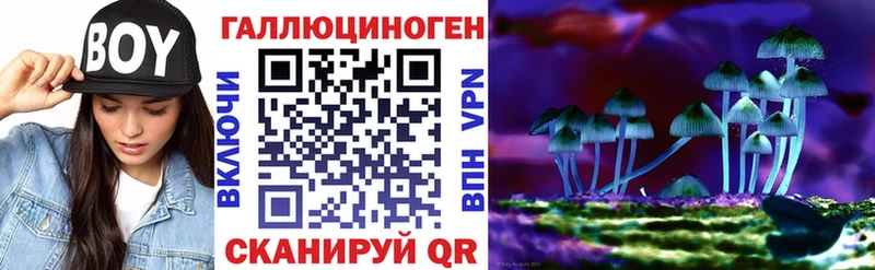 OMG как зайти  купить наркотик  Бакал  Псилоцибиновые грибы ЛСД 